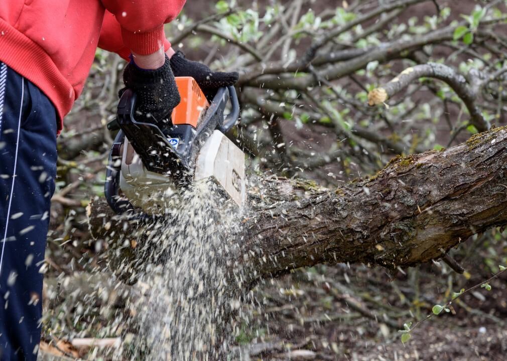 #46. Logging Workers, All Other